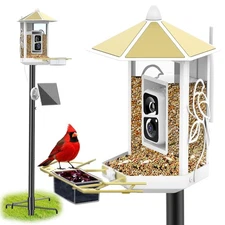 Metal Bird Feeder Camera with 74.5 Inch Pole - Smart Camera Bird Feeder Solar...