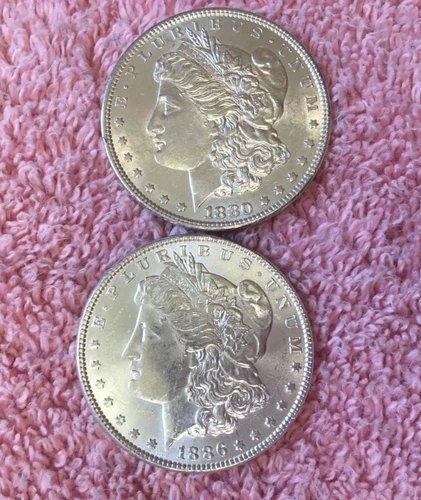 MORGAN SILVER DOLLAR COINS.  LOT OF 2 UNCIRCULARED BU/MS. PRE. 1921 LOT # 30