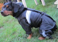 Ausverkauf! Hunde Schneeanzug Winter Overall mit Baumwolle gefüttert weich&warm