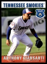 2015 Anthony Giansanti Grandstand Minor League Rookie Card South Bend Cubs