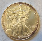 2001 American 1 Ounce Silver Eagle 3051