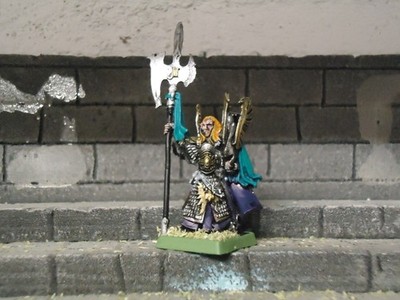 hochelfen elfenheld caradryan phoenix guard metall warhammer fantasy