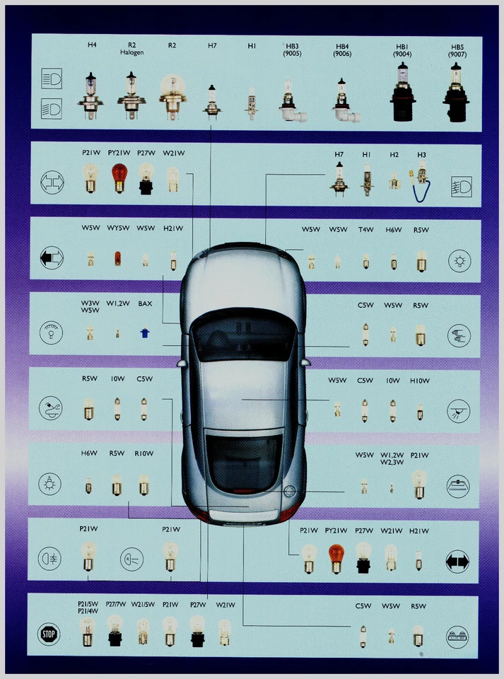 260 STÜCK ProfiMega SET KFZ Beleuchtung Birne Auto Lampe Glühlampen LONGLIFE. - Bild 2 von 3