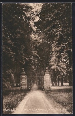 Marlborough, Entrance to Savernake Forest, Ansichtskarte 