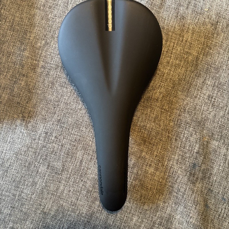 Cannondale Fabric Scoop Shallow Ti Titanium Rails Matt Black