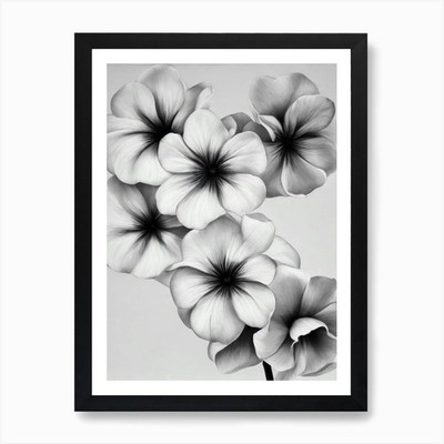 Morning Glory B&W Pencil 1 Blume A gerahmtes Wandbild Poster Leinwanddruck Bild