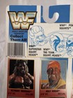 1990 WWF HULK HOGAN Squirt Head WWF Toy Hulkamania Squirts — photo 10