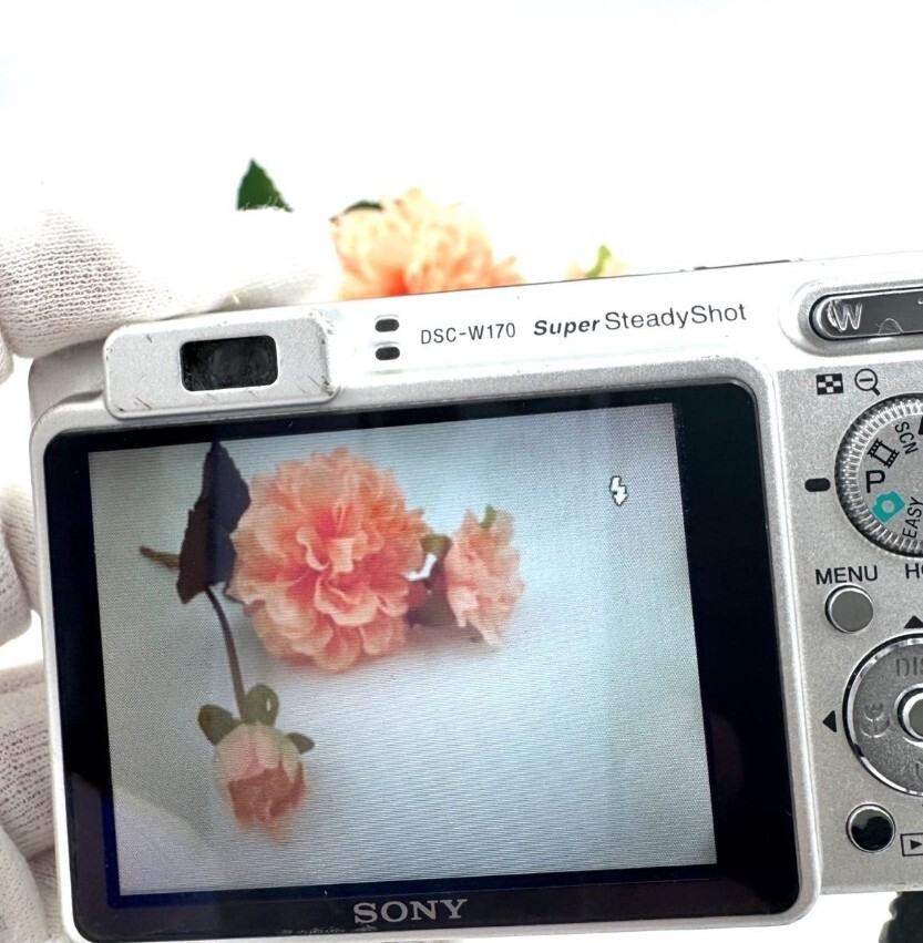 SONY Cyber-Shot DSC-W170 10.1MP Digital Camera Silver From