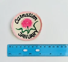 Vintage January Carnation  Patch Embroidered Flower Of The Month Sew On