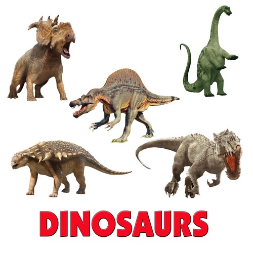 Dinosaurs Wall Art Stickers Decals Murals Room Decor T-Rex Raptors 5 Piece Set - Picture 5 of 5