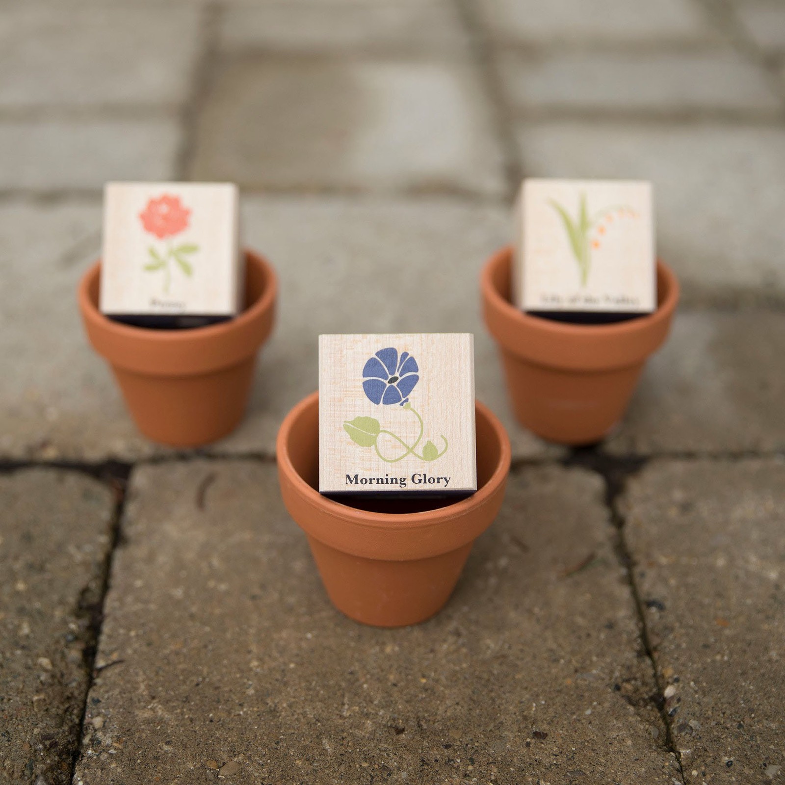 Three terracotta flower blocks with white labels showing red roses, blue morning glory, and green leaves, made in the USA.