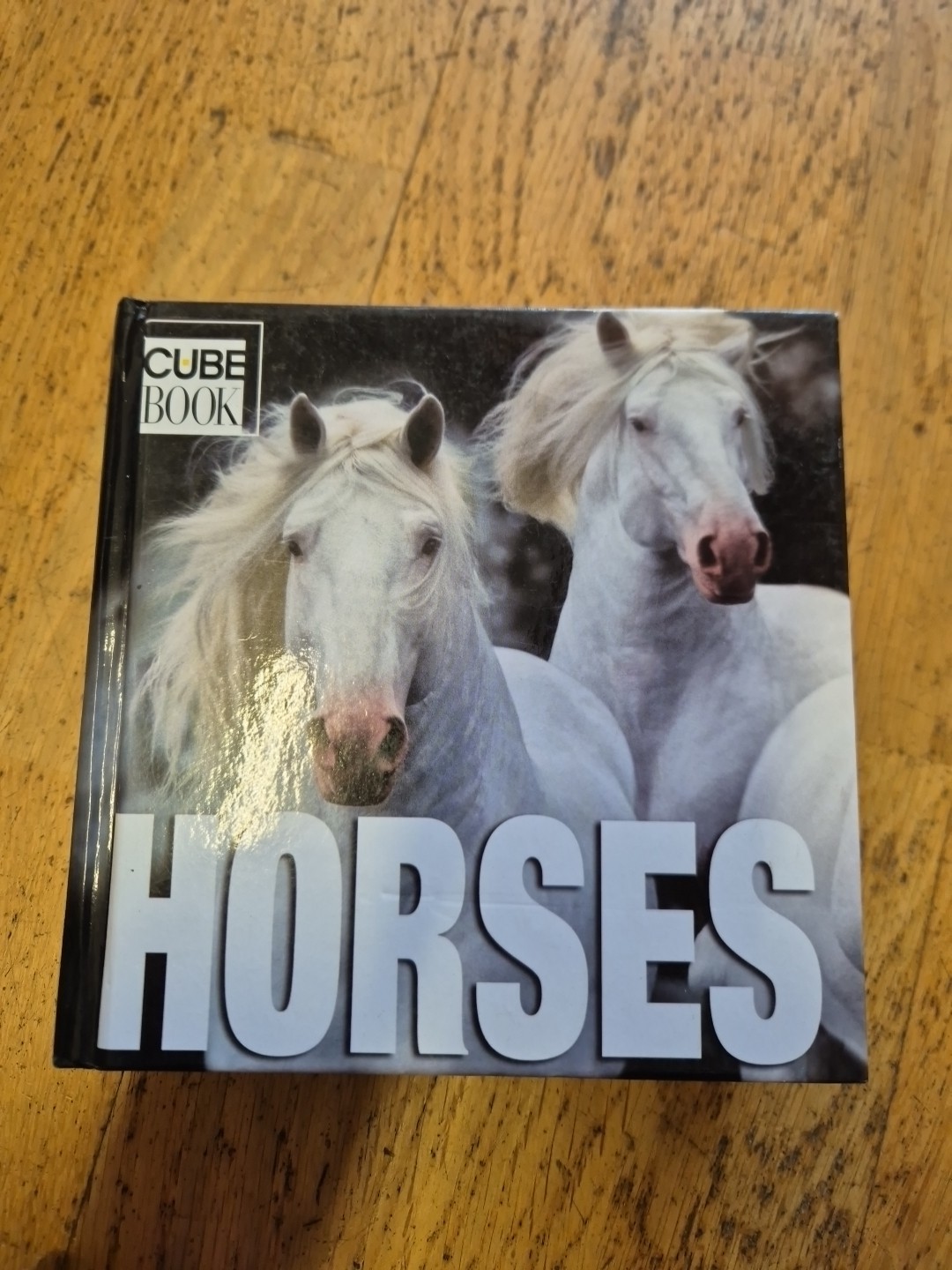 Horses Cube Book horse photographs pony ponies equestrian photography collection