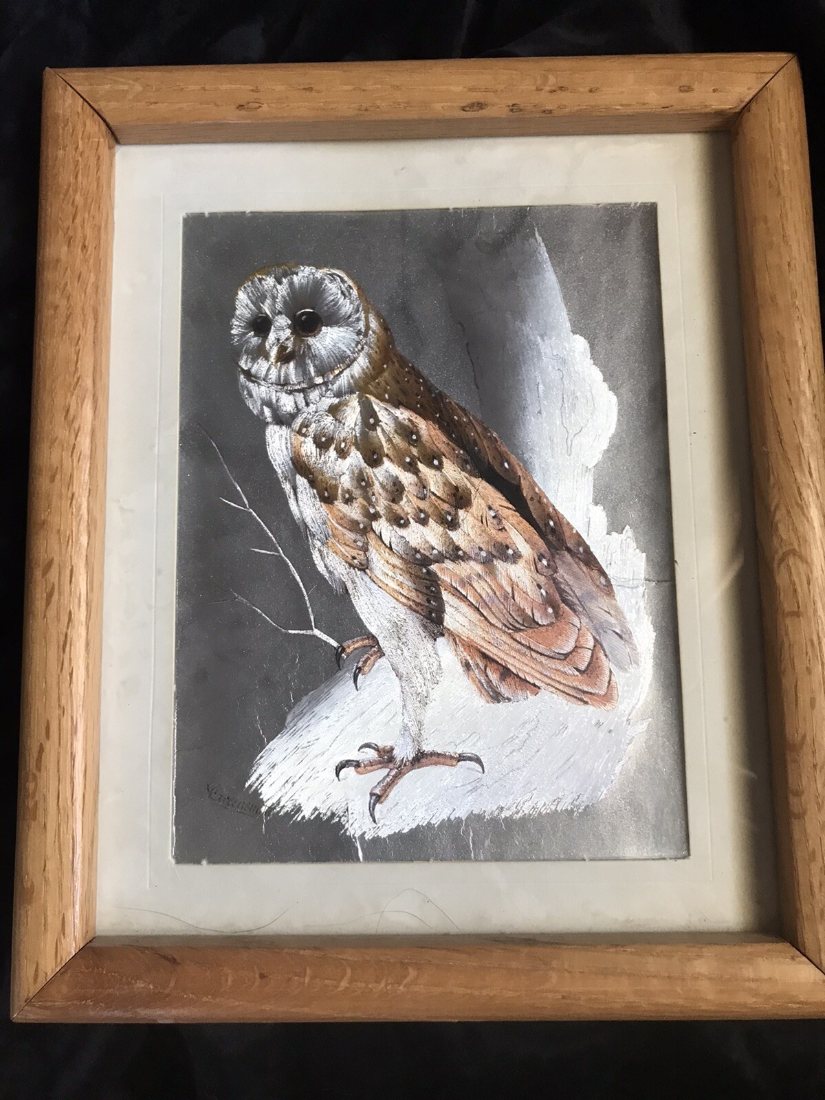 Picture 1 of 5