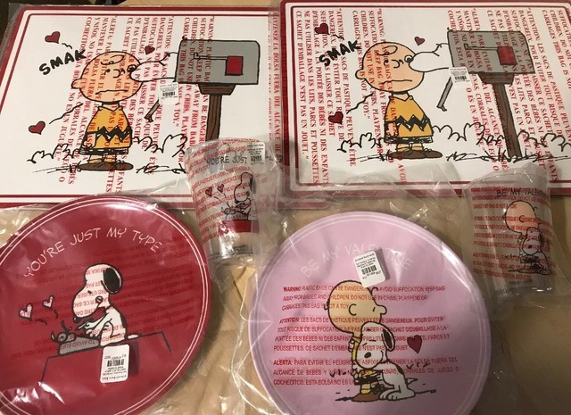 Pottery Barn Teen Kids Peanuts Snoopy Christmas Stocking Charlie