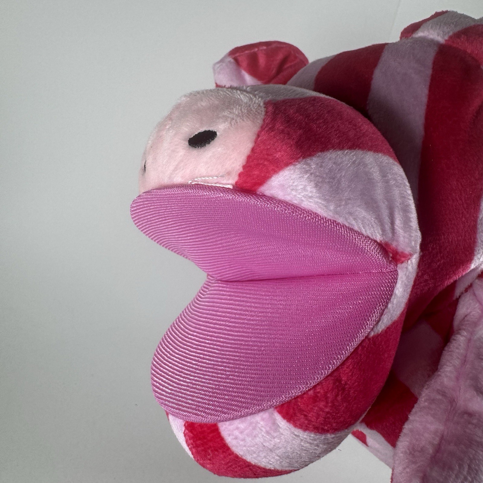 Bild 8 von 11