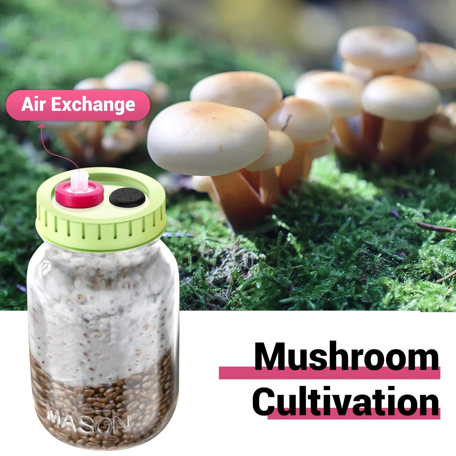 100pcs Lab PTFE Syringe Filter 0.22μm 13mm PP Prefilter Hydrophobic Non Sterile