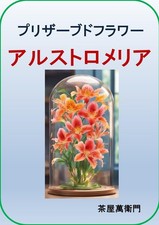 Preserved flower Alstroemeria