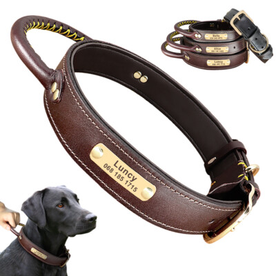 dog collar with control handle