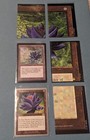 Magic The Gathering Black Lotus Cards MTG
