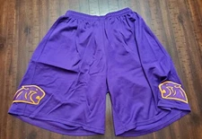 Ripon Athletics Womens Basketball Shorts Large Purple