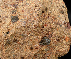 Cambria California Bird's Eye Rhyolite 5.8 LB Collector Rough Lapidary Display — photo 2