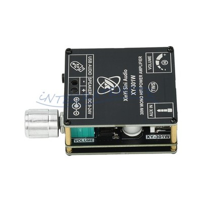 30W Mono TWS Bluetooth Digital Audio Amplifier Board Hi-Fi Power Amplifier Board