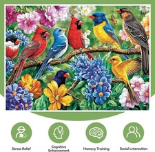 300 Piece Puzzles for Adults   Colorful Birds  Blooming Beautiful