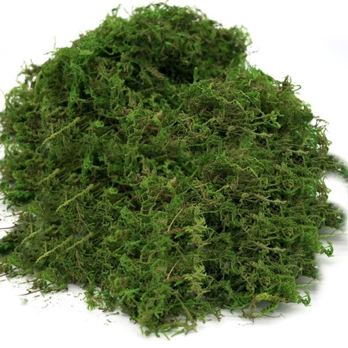 Usmola Fake Moss Artificial Green Moss for Potted Plants Fairy Garden Access - Picture 5 of 7