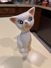 Foto 6 di 7