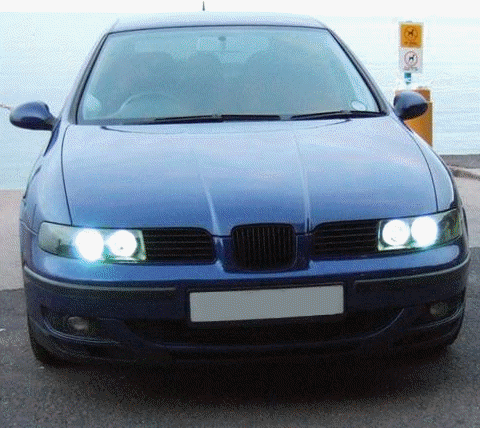 Abzeichenloser Lattenrost für Seat Leon mk1 1M Toledo mk2 1998-2005 Grill - Bild 1 von 5