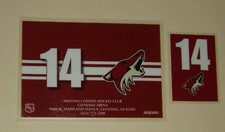 ARIZONA COYOTES Richard Panik #14 rare ID tags for equipment bag and shaving kit