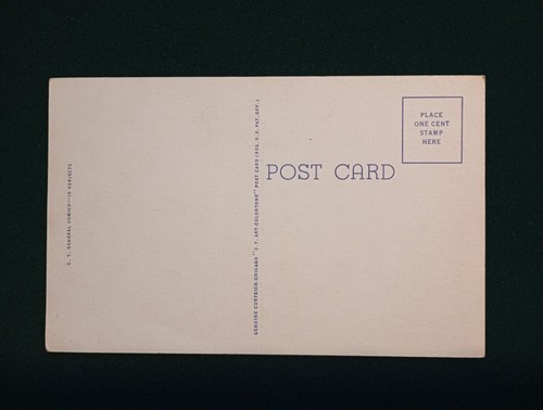 IT HAS BEEN A CONSTANT DENIAL - Vintage Postcard C-40 Curt Teich 5A-H1557 c.1935 - Picture 2 of 5