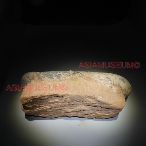 Big Tarbosaurus Oviraptor Raptor Asian T-REX Dinosaur Egg Fossil JURASSIC WORLD - Picture 12 of 20