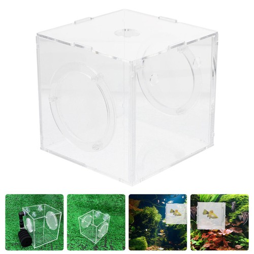 Réservoir en ligne Délevage De Poissons Bébé Aquarium Boîte Disolement
