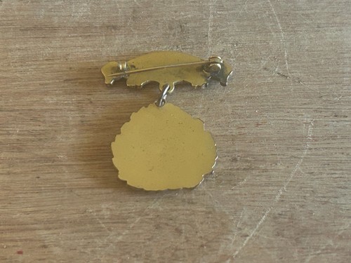 Royal Neighbors Of America Badge Award FOB Medal Pin 10 Years Faithful Service - Picture 15 of 24