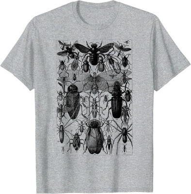Insects Collection Species Bugs Vintage Entomology T-Shirt S-5XL