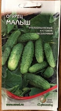 Russian Cucumber «Baby» Heirloom Non GMO Seeds Rare-Огурец Малыш