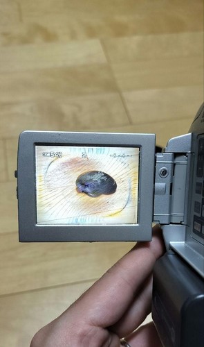 Sony Handycam DCR-PC110 Mini DV Hybrid Camcorder Nightshot 2.5 inc Japanese - Afbeelding 6 van 6