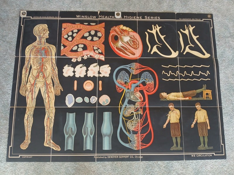 Antique Fabric Denoyer Geppert Winslow Health Hygiene Folding Circulation Chart