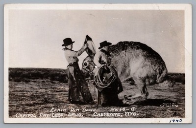 Earin Him Down RPPC Conard Cowboys Giant Jack Rabbit Cheyenne WY Postcard