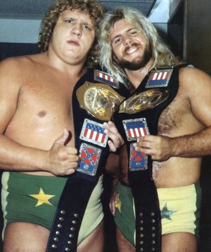 THE FABULOUS FREEBIRDS 8X10 PHOTO WRESTLING WWE WWF PICTURE - 第 1/1 張圖片