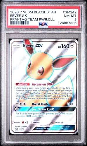 Eevee GX SM242 PSA 8 Holo Tag Team Power Collection Promo Pokemon Card 🔥🔥