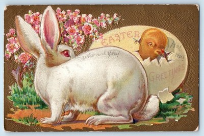 Easter Greetings Bunny Rabbit Hatched Big Chick Flowers Embossed Posted Postcard