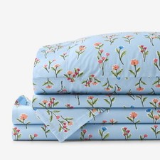 The Company store Blossoms and Stripes Classic Cool Cotton Percale Bed Sheet Set