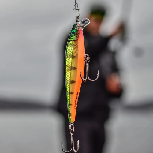 Esca da pesca Rapala BX Minnow 10 - Foto 2 di 5
