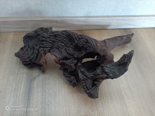 Mangrovenwurzel XL 36 cm
