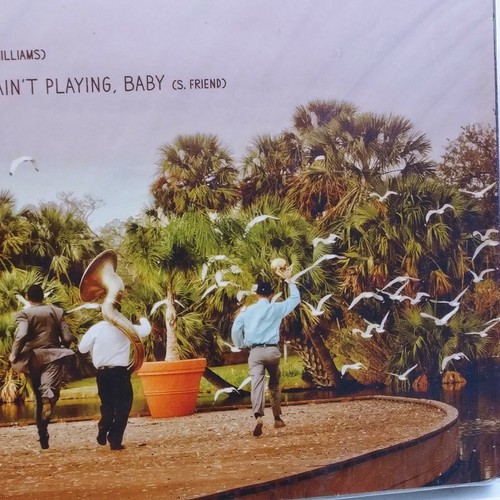 NEW ORLEANS SWAMP DONKEYS Donkey Business LP Compact Disc New Sealed Jass Jazz - Picture 6 of 8