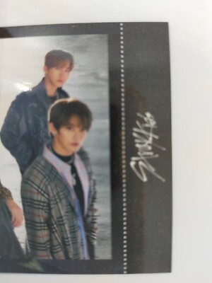 Stray Kids SKZ2020 サイン Stray Kids Japan SKZ2020 All members Official Trading Photo Card