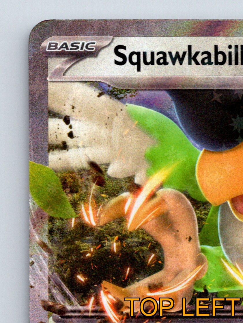 Basic Squawkabilly EX HP 160 Motivate Attack Rarity Colorful Pokemon Card |  eBay