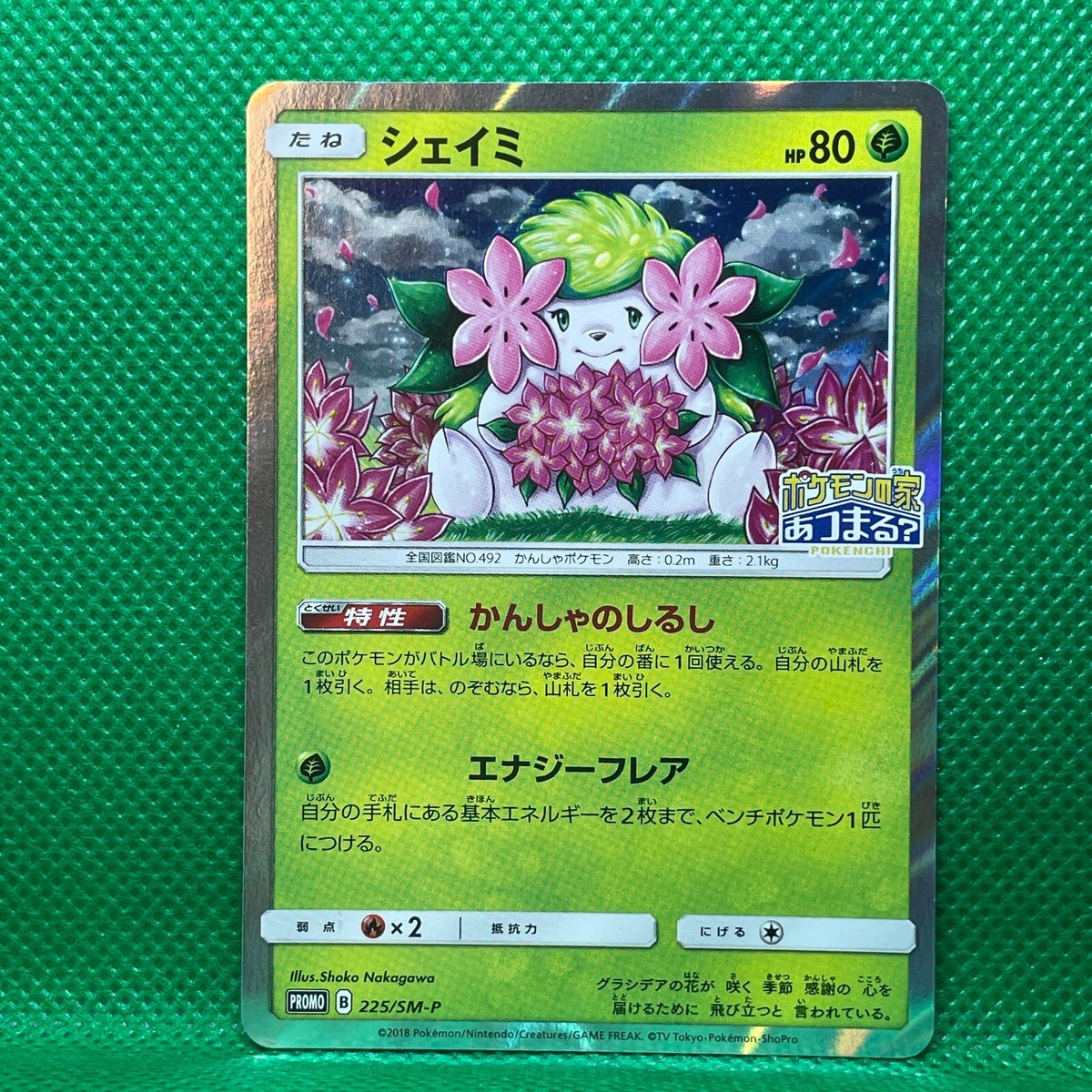 ★PSA10★【シェイミ/しょこたん/プロモ】SHAYMIN 225/SM-P Shaymin #225/SM-P Prices | Pokemon Japanese Promo | Pokemon